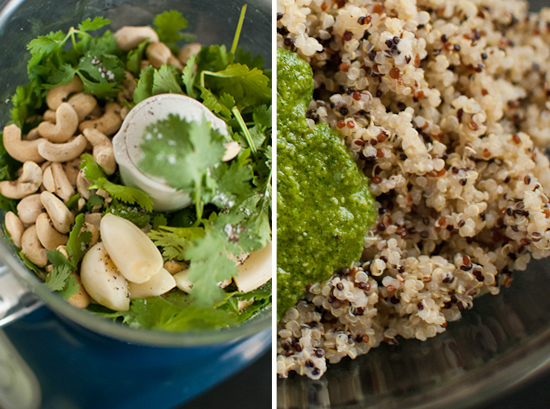 Cilantro-Cashew Pesto of Plants on My Plate - Recipefy