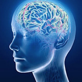 Brain_icon-square