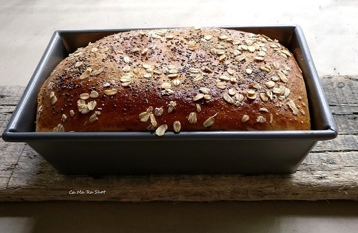 SINGLE RISE WHOLE WHEAT BREAD of Kanika Katyal - Recipefy