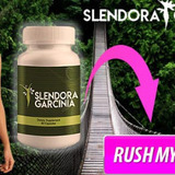 Slendora-garcinia-review