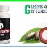 Renutra-pro-garcinia-ingredients