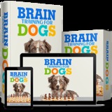 Brain%20training%20for%20dogs