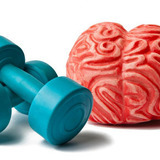 Brain-and-weights