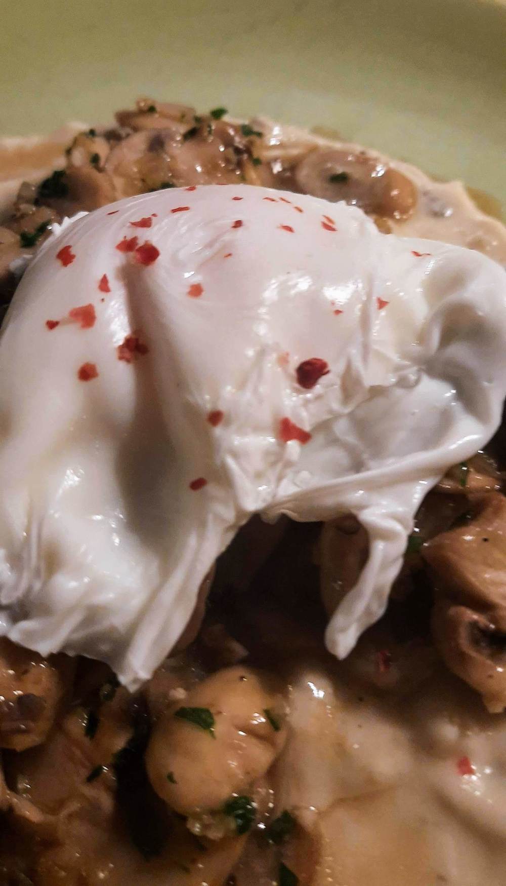 uova in camicia su letto di champignon in salsa di gorgonzola di Marina Marini - Recipefy